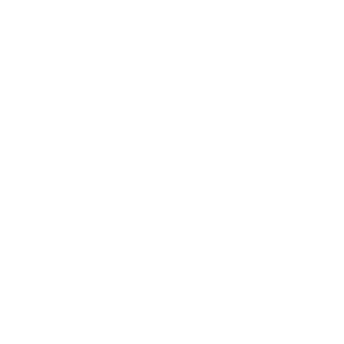 Stage Icon